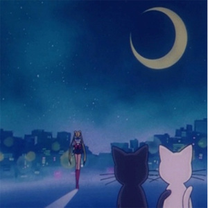 男人用它j狂操女人的p
